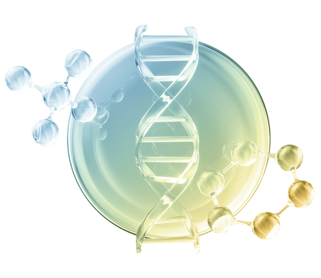 dtd about dna