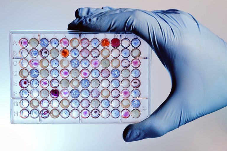 dtd microplate sample